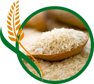 Premium Ponni BPT Rice